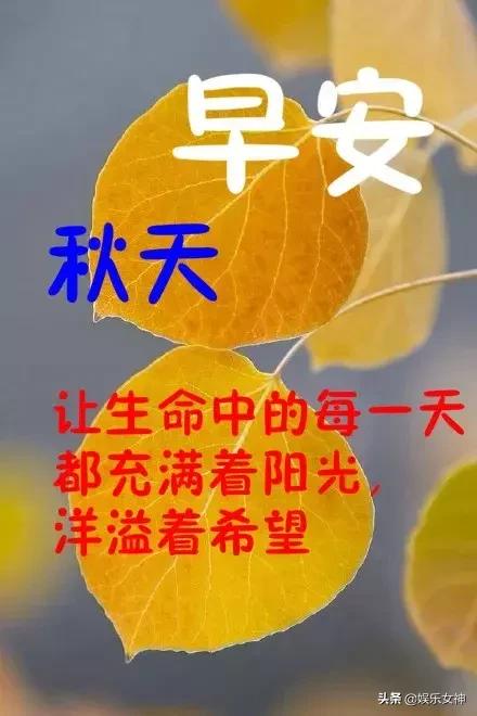 短信的力量，重塑溝通方式的新紀(jì)元