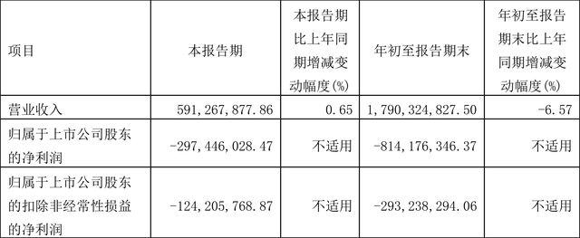 ST中安最新消息全面解讀