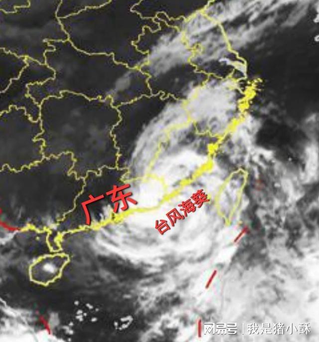 今年臺風(fēng)最新動態(tài)，全方位解析影響與應(yīng)對策略