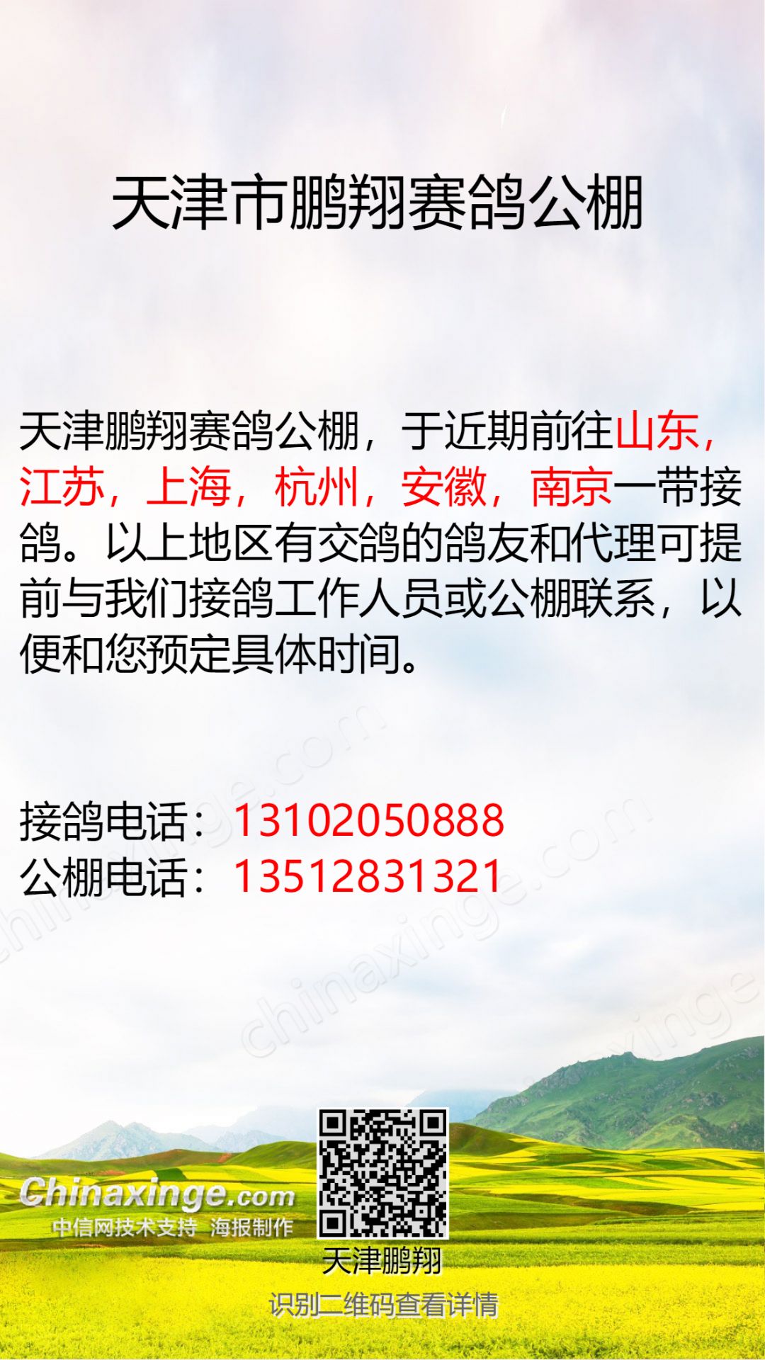 天津麗翔公棚最新公告解讀