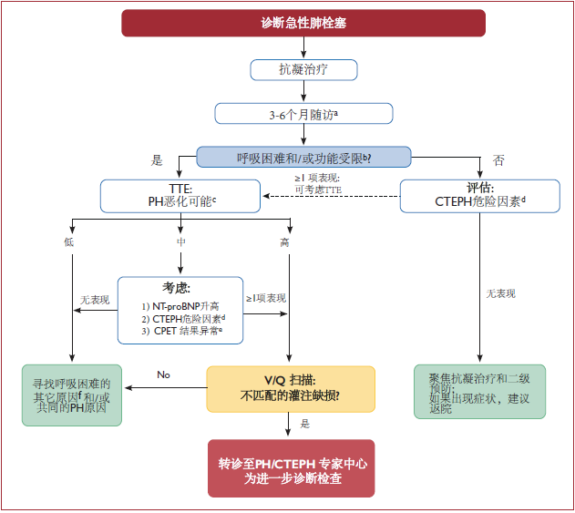 肺栓塞最新指南，全面解讀預(yù)防、診斷與治療策略詳解