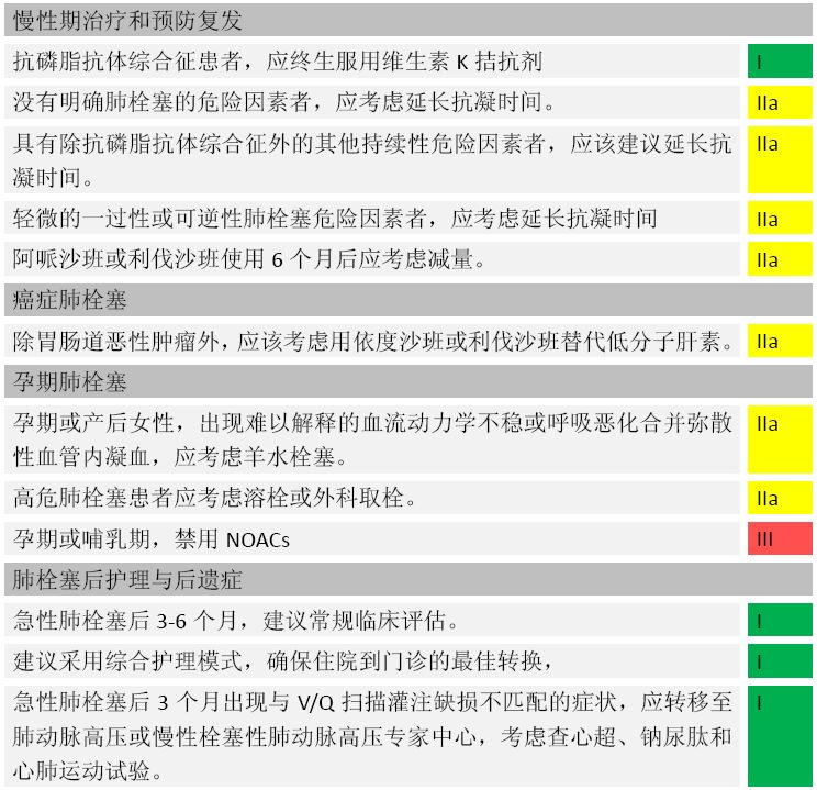 肺栓塞最新指南，全面解讀預(yù)防、診斷與治療策略詳解