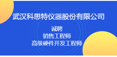 武漢人才網(wǎng)最新招聘信息網(wǎng)，職場發(fā)展首選平臺