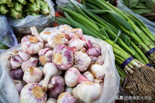 河南大蒜今日價格行情分析