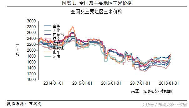 河北省玉米價(jià)格最新行情解析