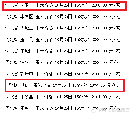 河北省玉米價格最新行情解析