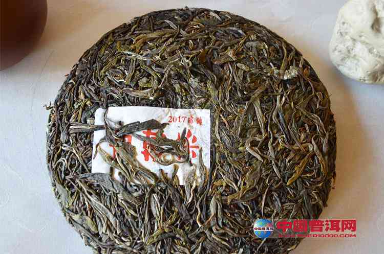 普洱茶市場最新動態(tài)，行情走勢、產(chǎn)區(qū)更新與未來展望