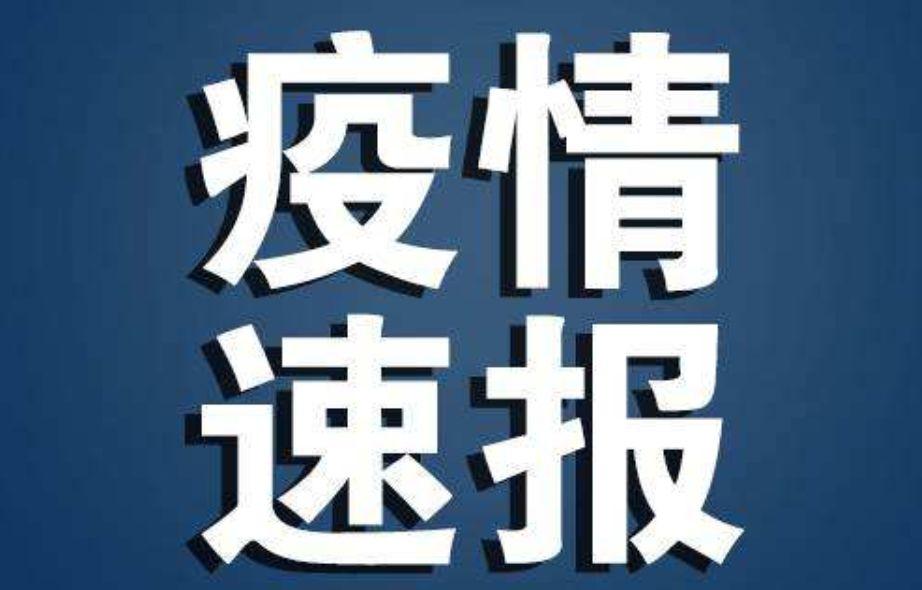 全球冠狀肺炎最新動態(tài)，疫情發(fā)展、應對策略與全球進展報告