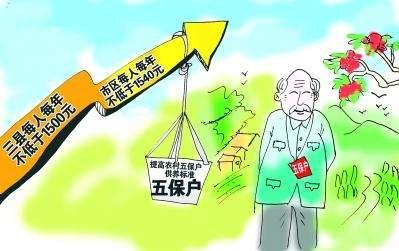 五保戶最新政策解析及其影響展望