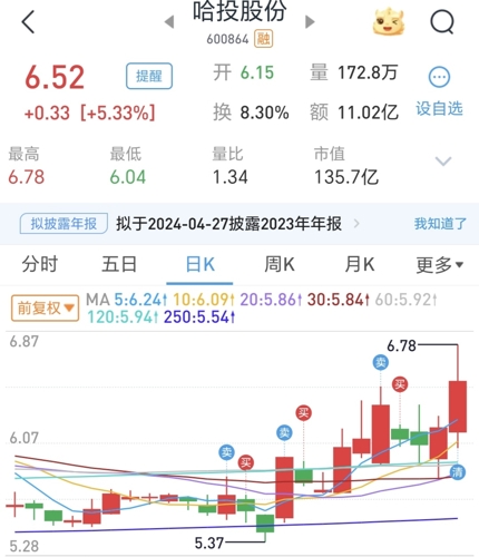 哈投股份最新消息全面解讀與分析