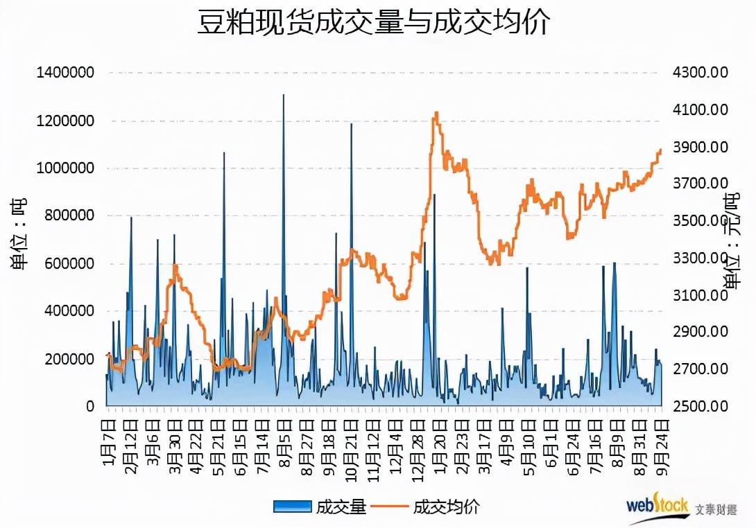 豆粕價格最新動態(tài)分析報告