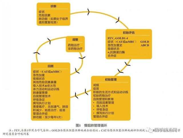 慢阻肺最新研究動(dòng)態(tài)或進(jìn)展概述