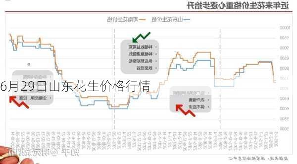 山東花生價(jià)格最新行情解析