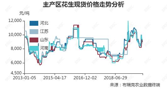 山東花生價(jià)格最新行情解析