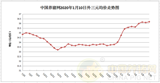 今日豬價走勢分析與最新價格預測