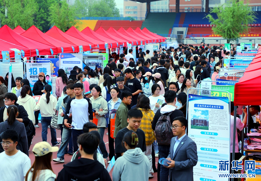 南陽最新招聘動態(tài)與就業(yè)市場深度剖析