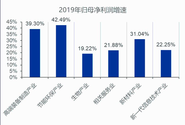 最新上市公司，崛起與挑戰(zhàn)并存