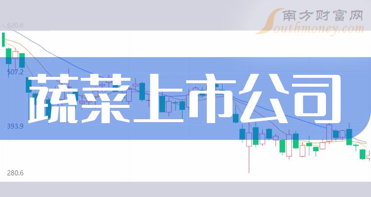 最新上市公司，崛起與挑戰(zhàn)并存