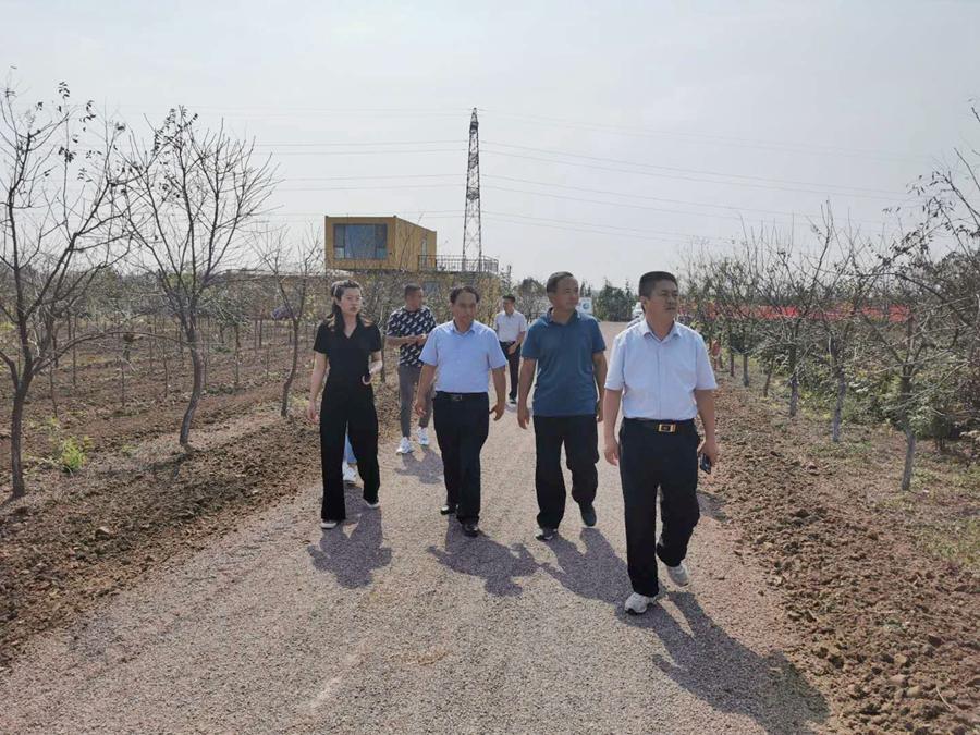 聊城未來城市宏偉藍圖規(guī)劃揭曉