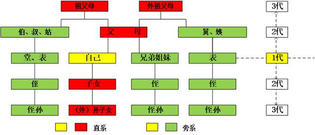 供養(yǎng)直系親屬最新規(guī)定詳解，深度解讀與應(yīng)用指南