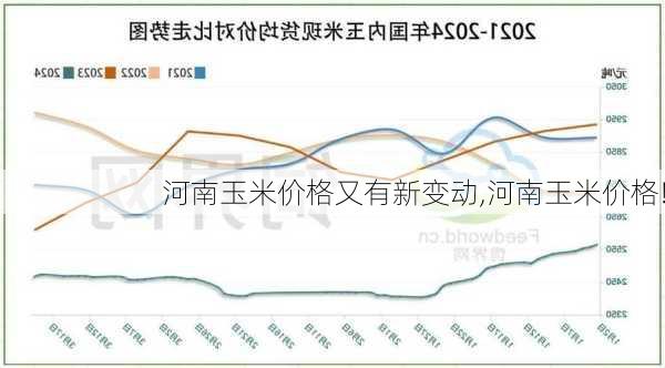 河南玉米最新價(jià)格動(dòng)態(tài)解析