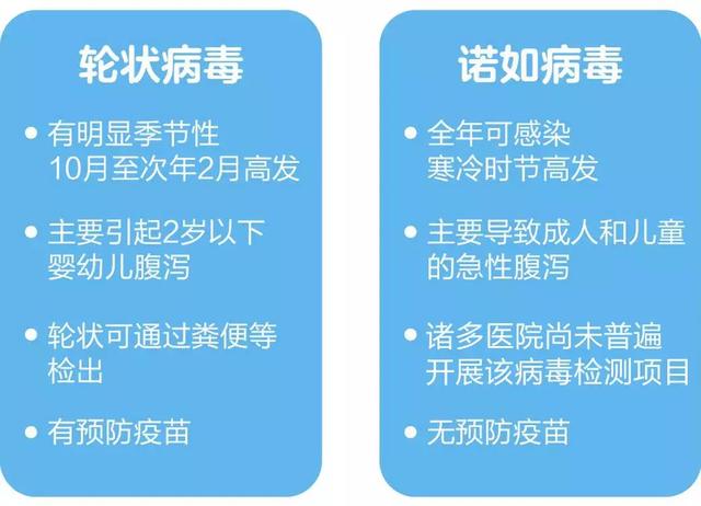 轮状病毒疫苗的最新研究动态与未来展望