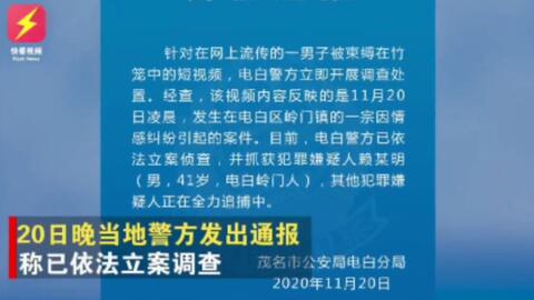 浸猪笼原视频的最新观察与深度解析