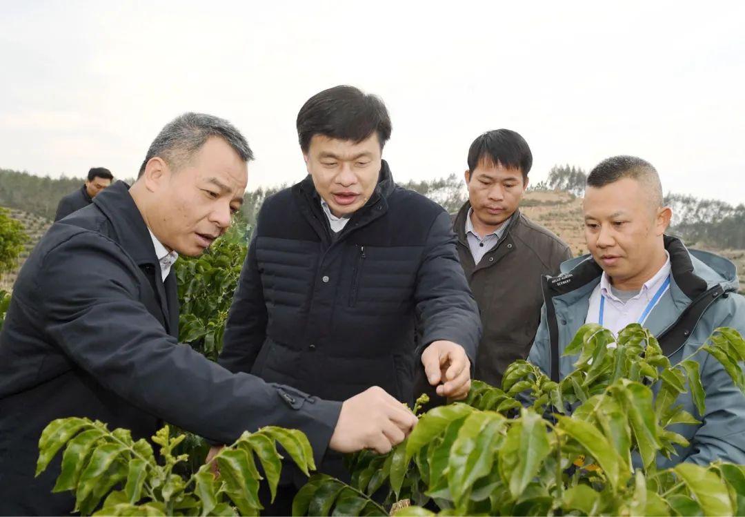 武利镇最新规划揭晓，塑造未来城市崭新面貌