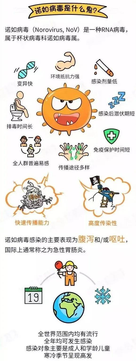 诺如病毒最新状况深度研究分析