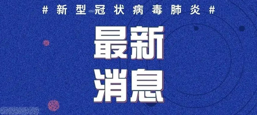 全球鑫冠肺炎最新动态，疫情状况及应对策略更新