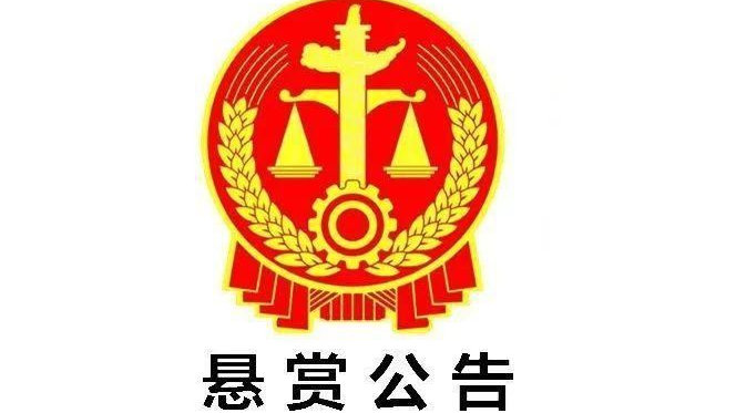 司法進步與社會公正的新動態(tài)，法院信息最新解讀