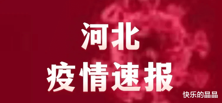 河北疫情最新通報，疑似病例分析概述