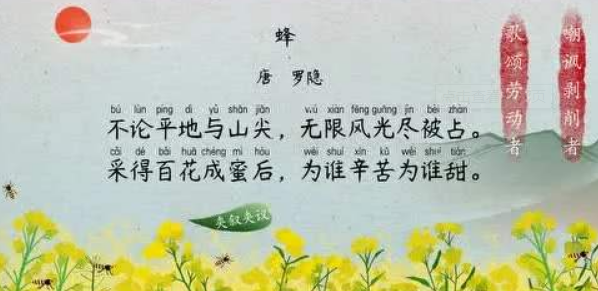 最新版蜂古詩的魅力與深度解讀