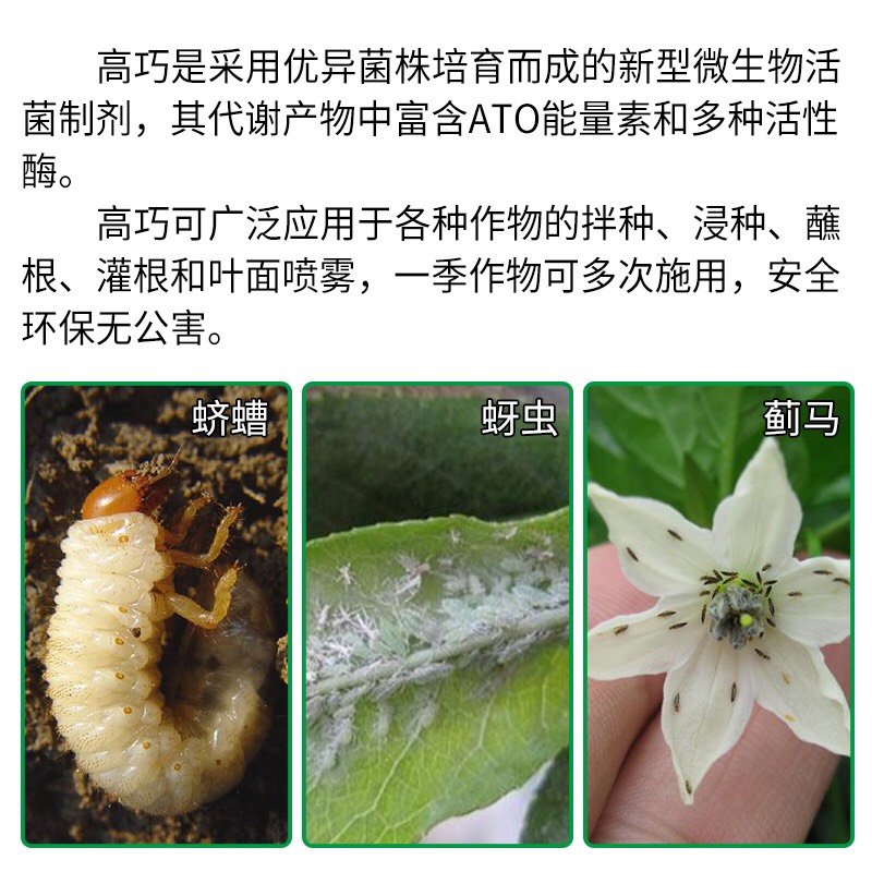 拜耳高巧引領(lǐng)科技革新，塑造未來(lái)生活新篇章