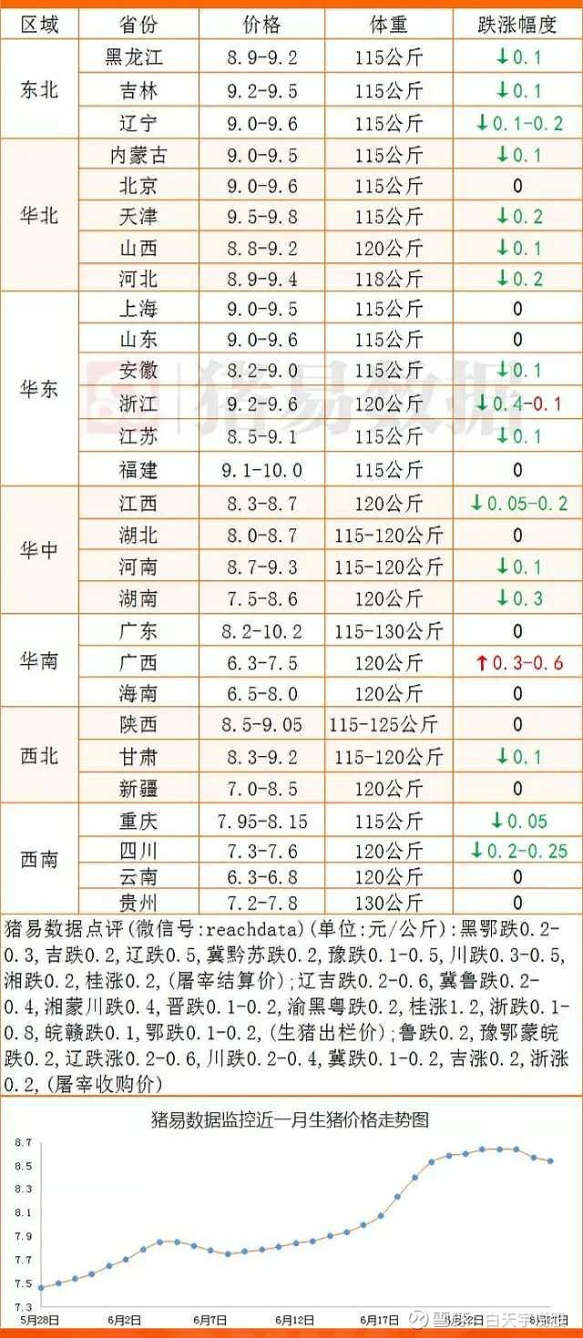 小猪价格最新行情报告，今日市场分析更新