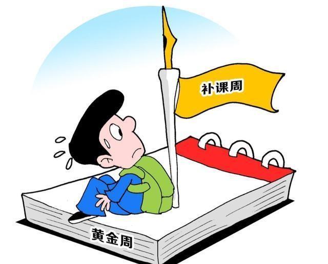 小學(xué)最新英語教材探索，啟示與前沿實踐