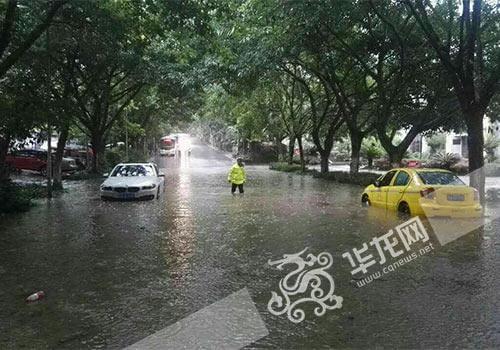 重庆暴雨最新报道